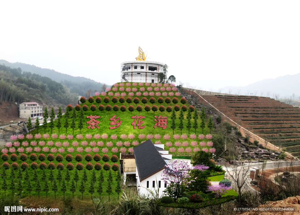 山坡绿化景观设计效果图