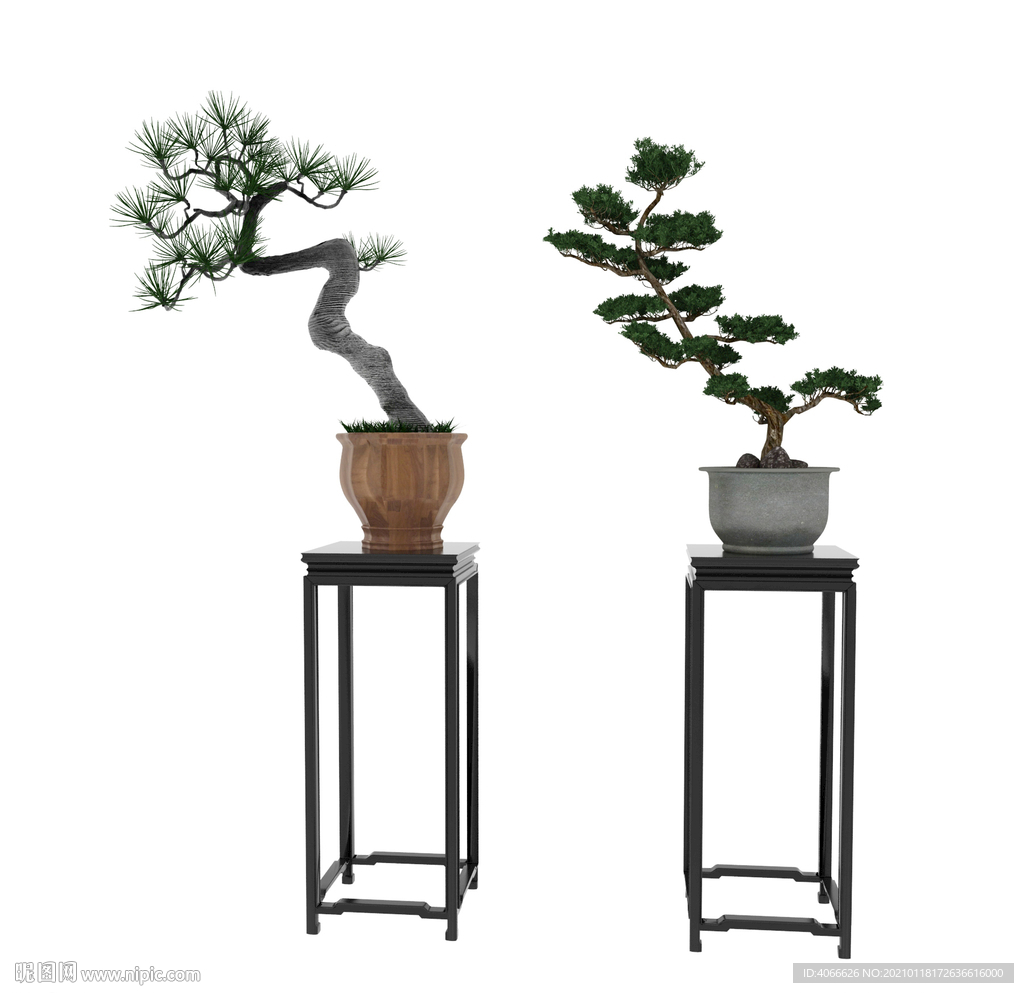 榕树松树盆栽3d模型