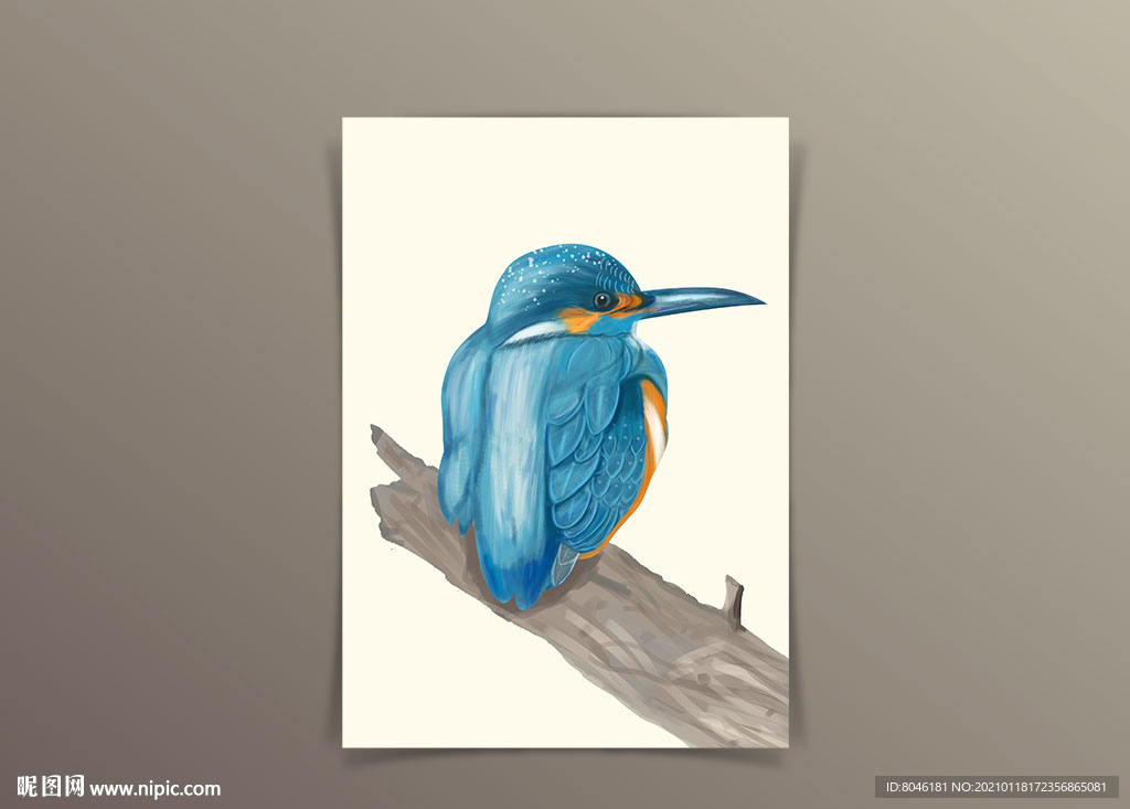 小鸟手绘插画