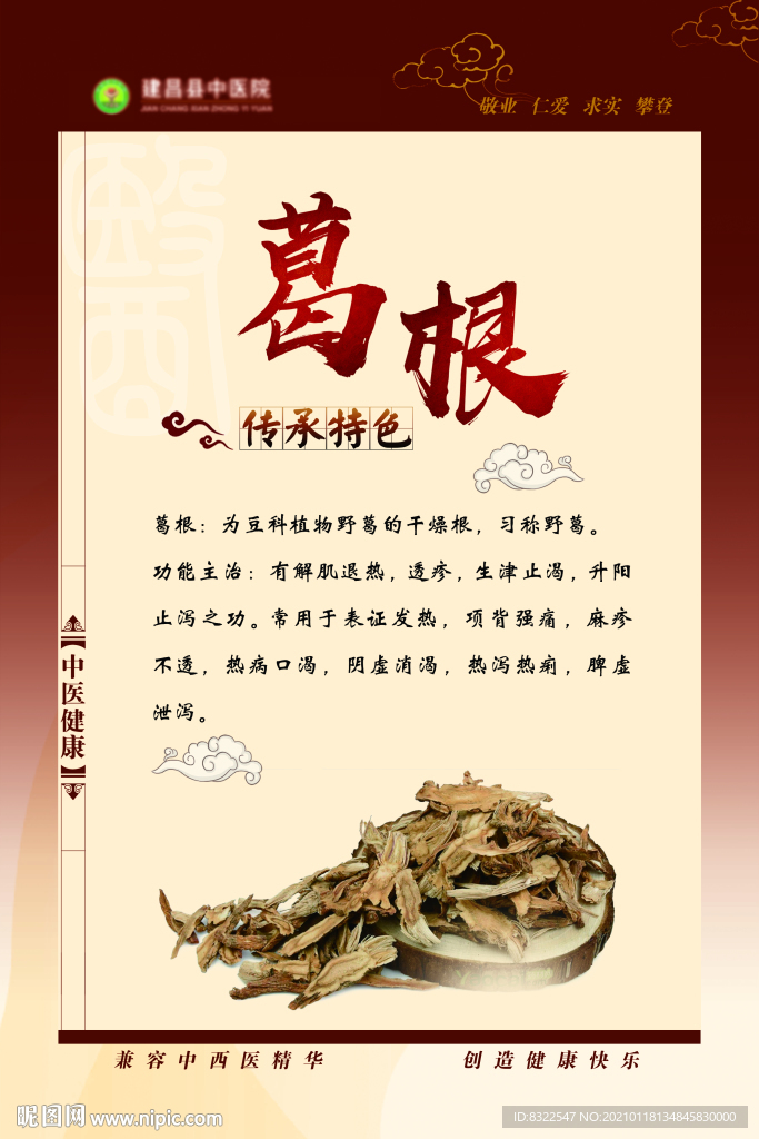 中药葛根