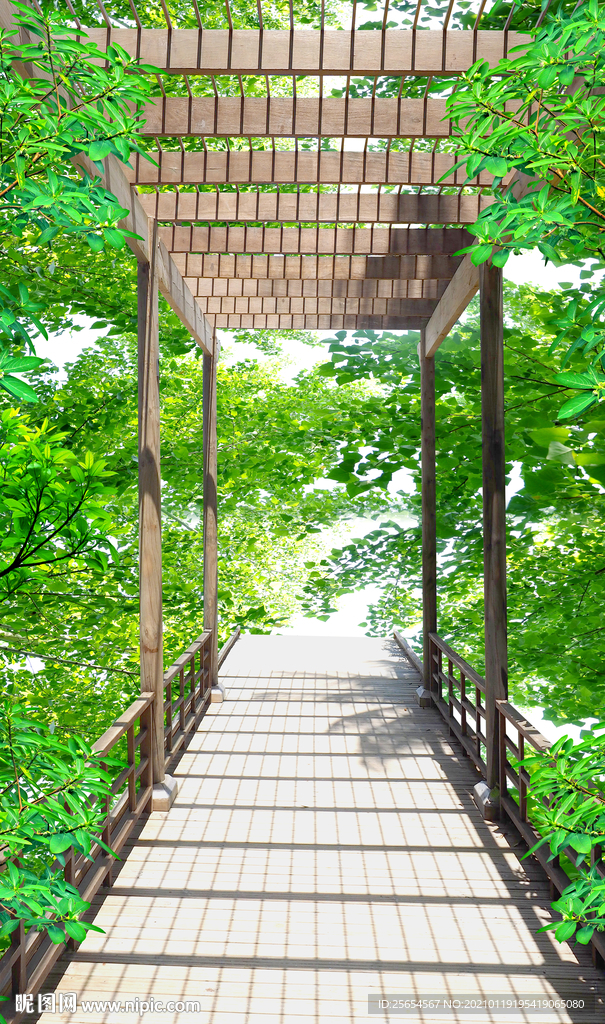 树林风景玄关过道