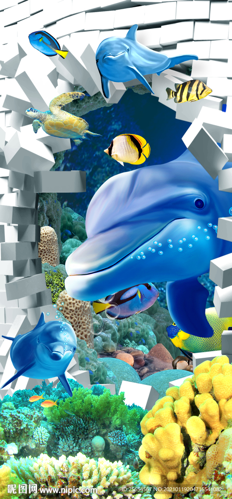 海洋世界海豚3D玄关