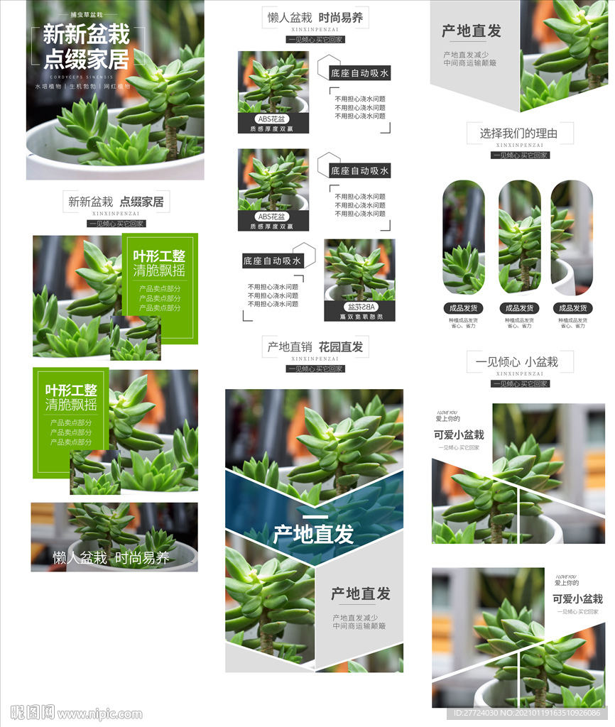 绿植详情页