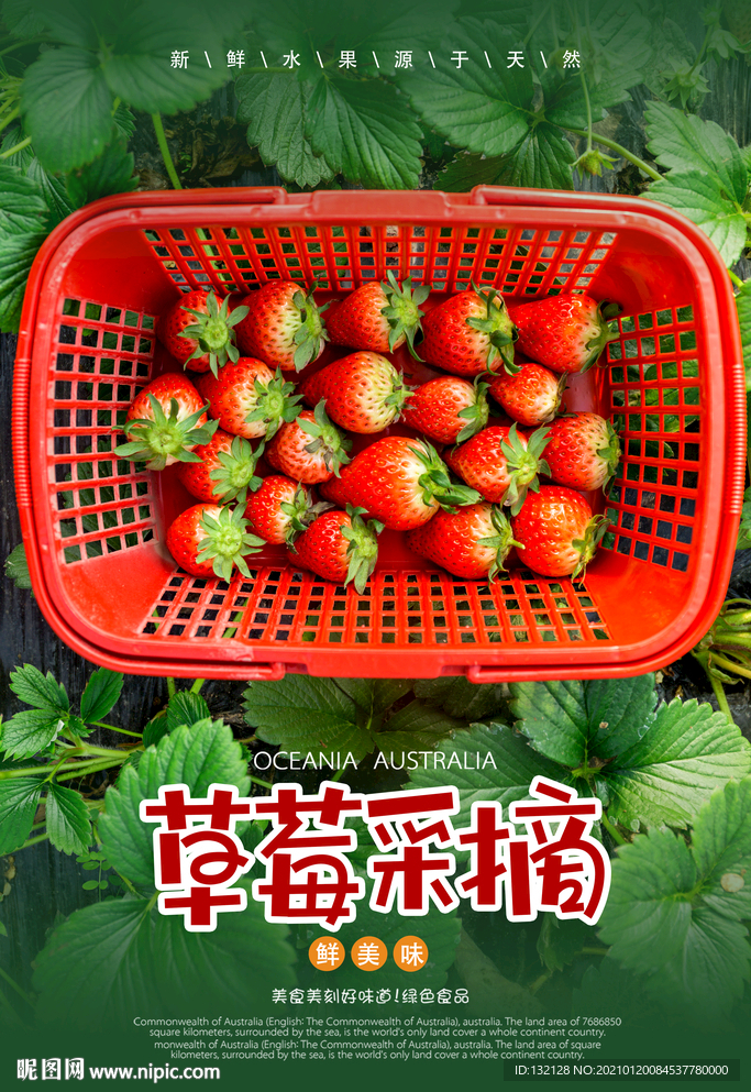草莓采摘海报