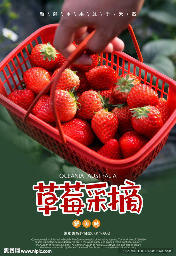 草莓采摘海报