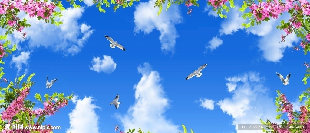 蓝天白云鸽子鲜花