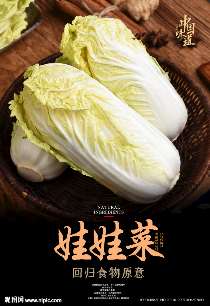 娃娃菜海报