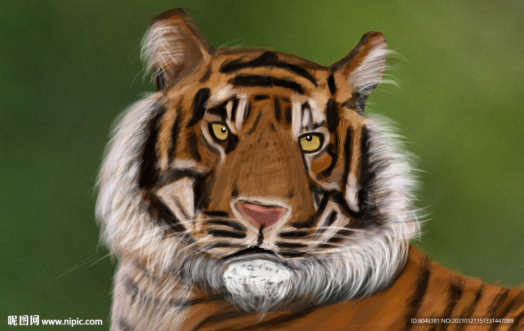 老虎手绘插画