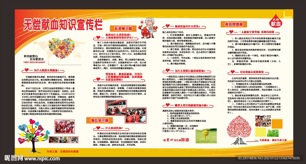 无偿献血宣传栏