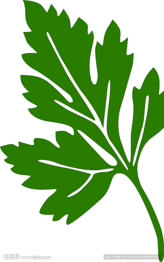 艾草叶