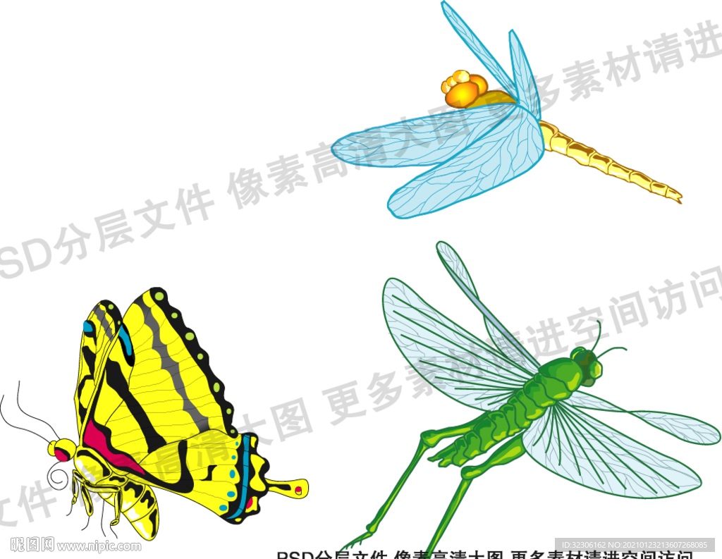 昆虫卡通  昆虫插画