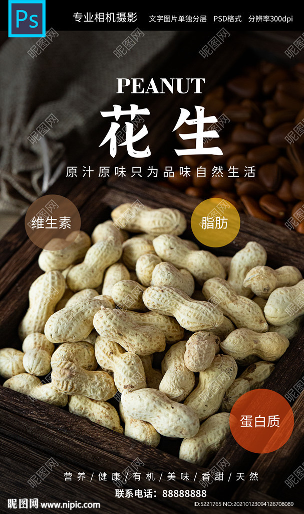 花生坚果