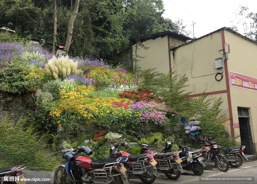 乡村花境景观设计效果图