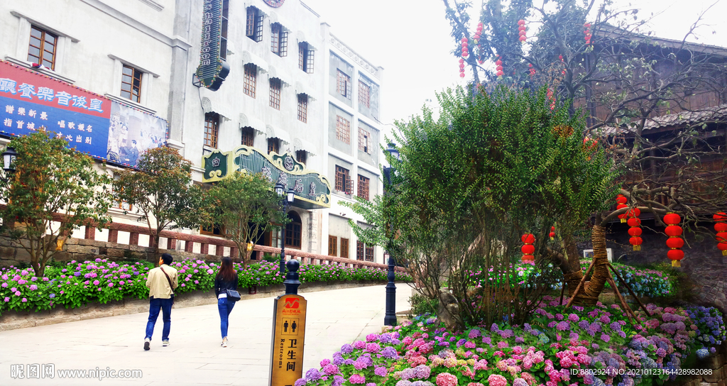 街道绣球花境景观设计