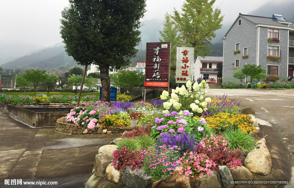 乡村花境景观设计效果图