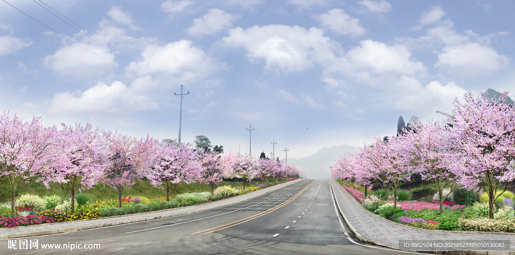 乡村道路花境景观设计