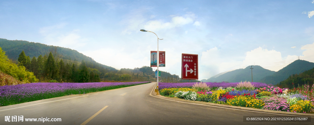 道路花境景观设计