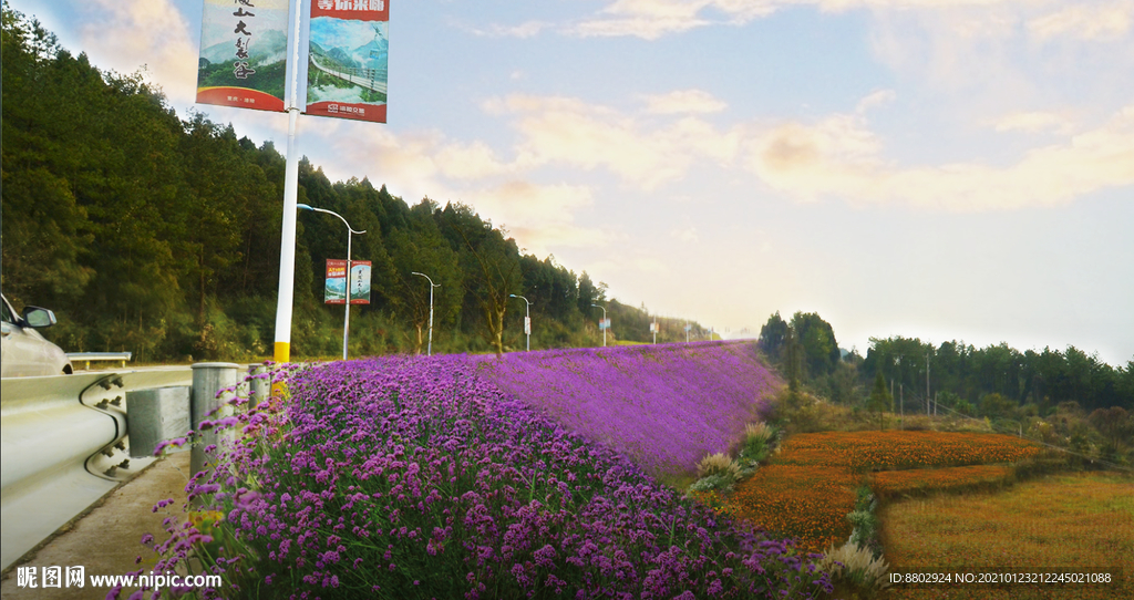 乡村花境景观设计