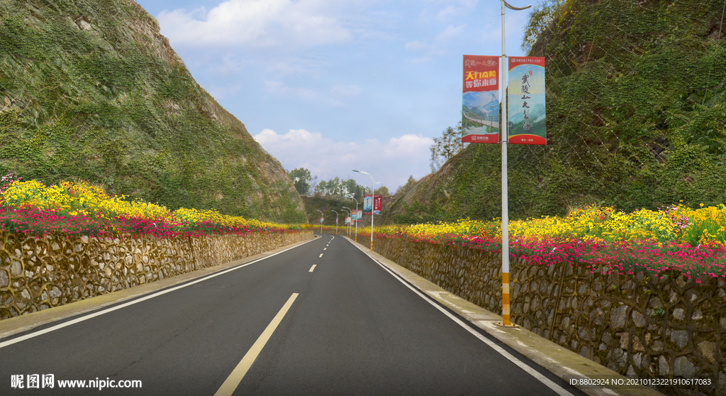 乡村道路花境景观设计