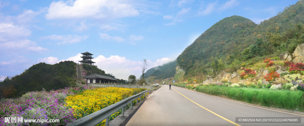 乡村道路花境景观设计