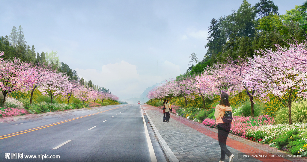 樱花道路绿化景观设计