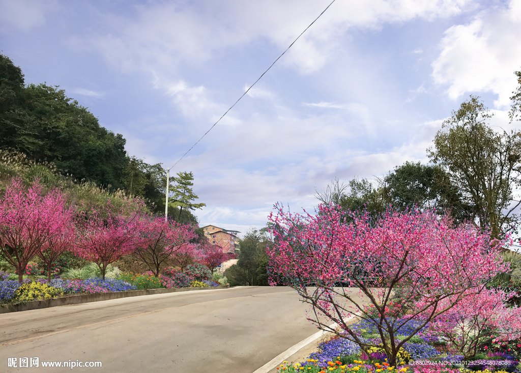 梅花花境景观设计效果图
