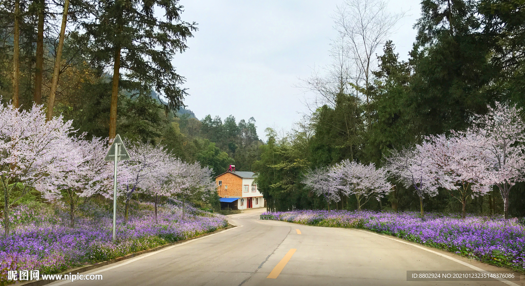 乡村道路花境景观设计