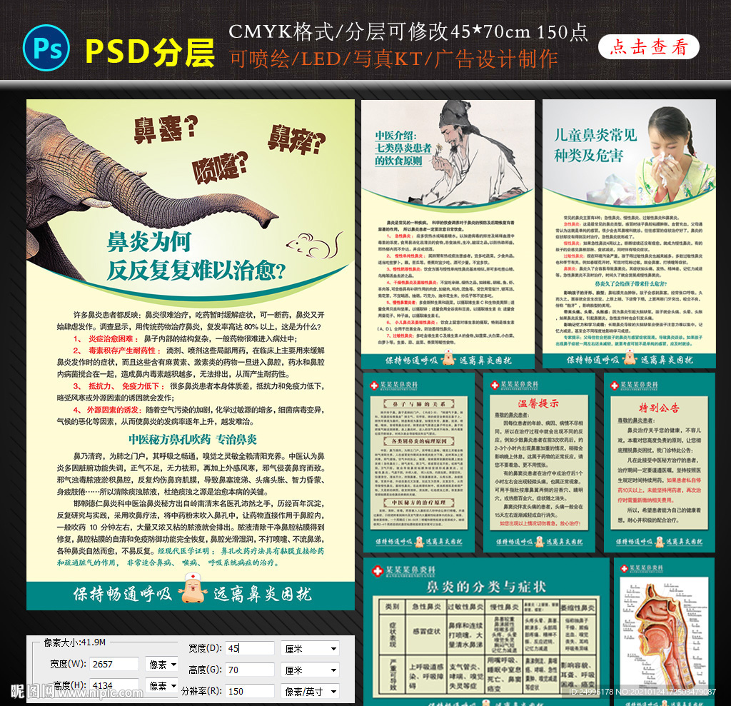 鼻炎分类与症状宣传展板海报设计