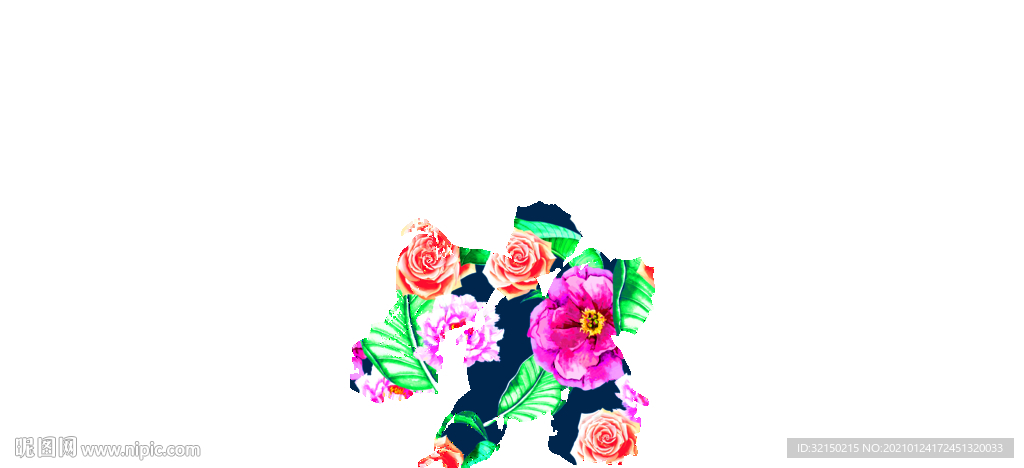 藏兰绿叶花朵