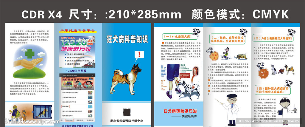 狂犬病科普知识三折页