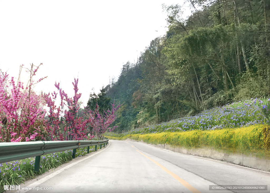 乡村紫荆道路花境设计