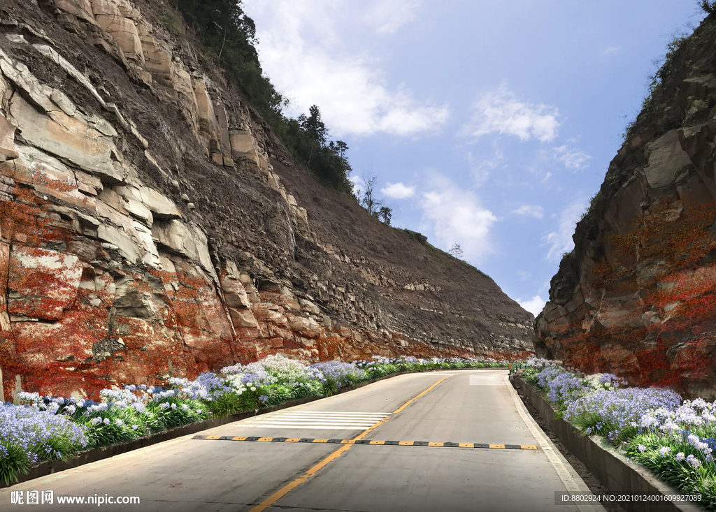 乡村道路花境景观设计