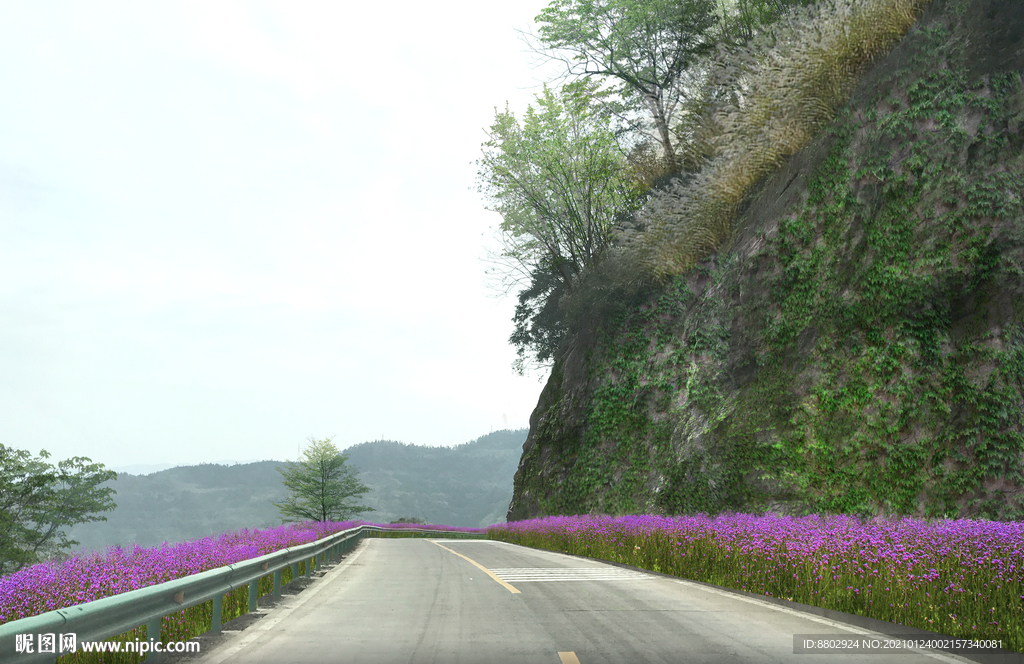 乡村道路花境景观设计