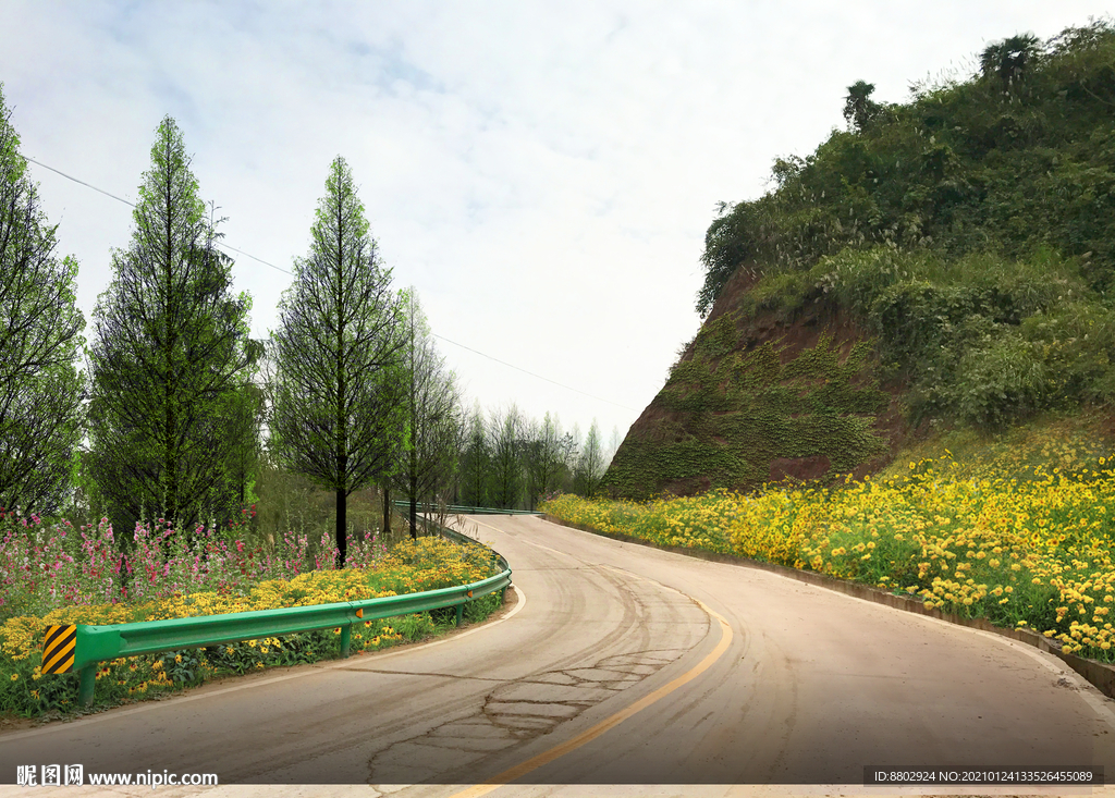 乡村道路花境设计