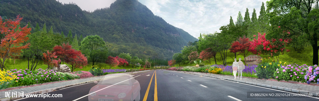 乡村道路绿化花境设计