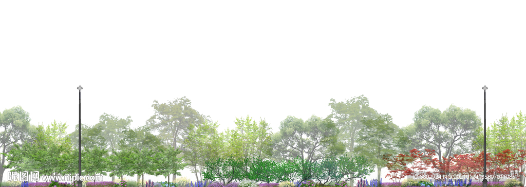 道路花境立面图