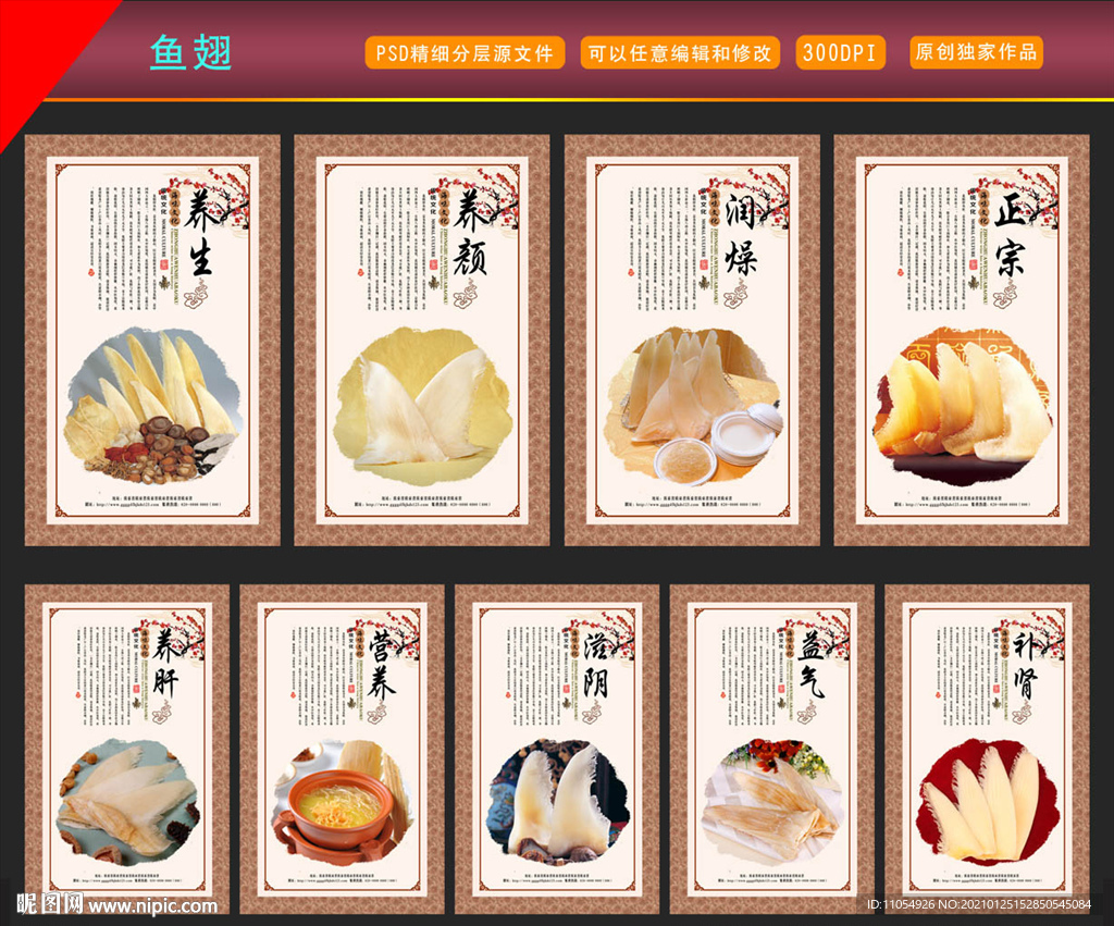 鱼翅