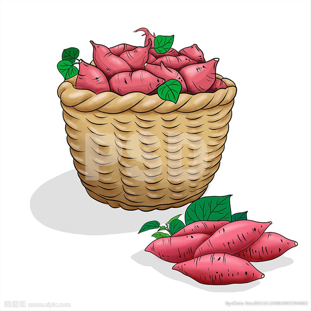红薯叶怎么画,红薯叶,西瓜红红薯_大山谷图库