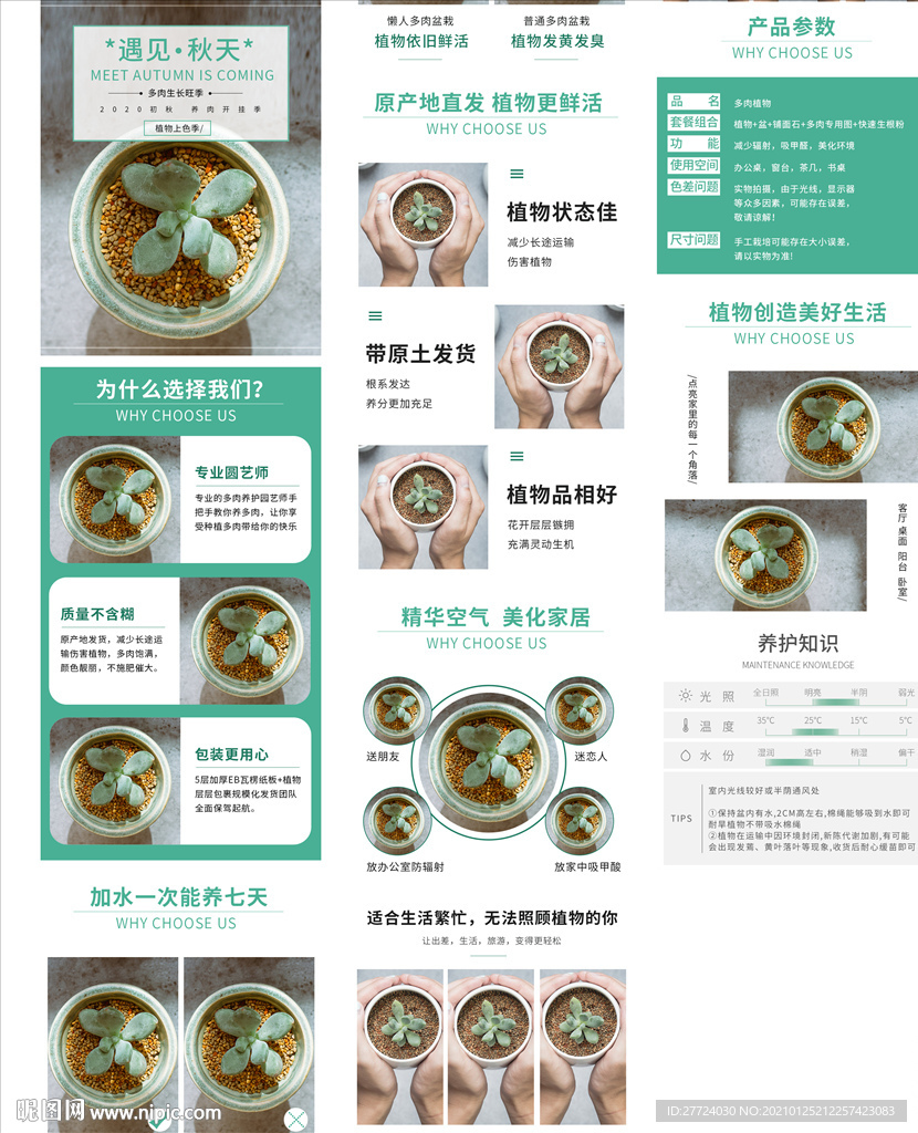 植物详情页