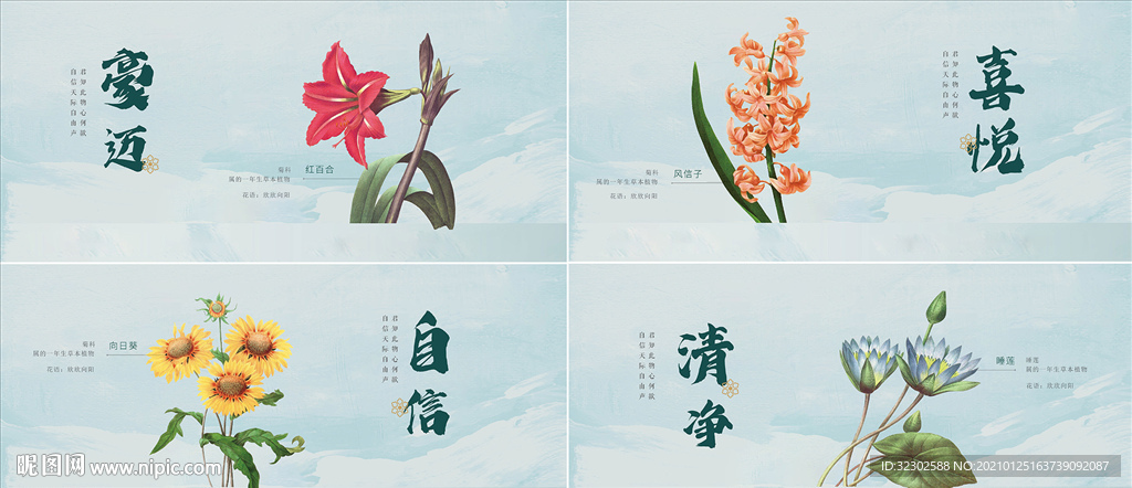 花背板