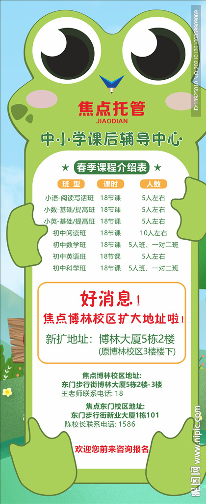 青蛙