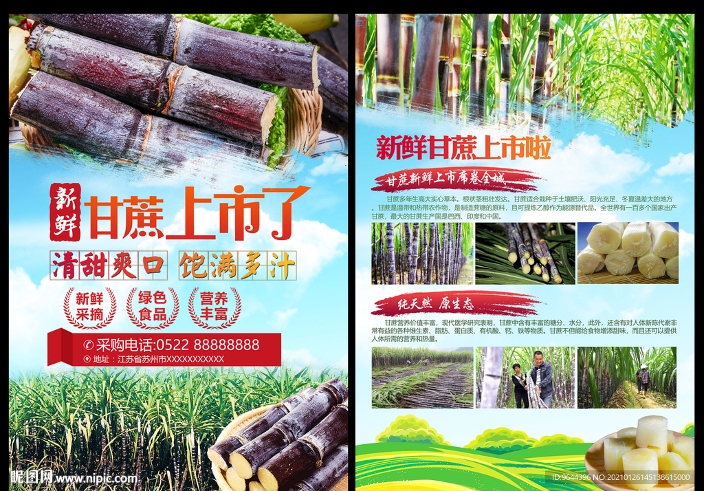 甘蔗宣传单
