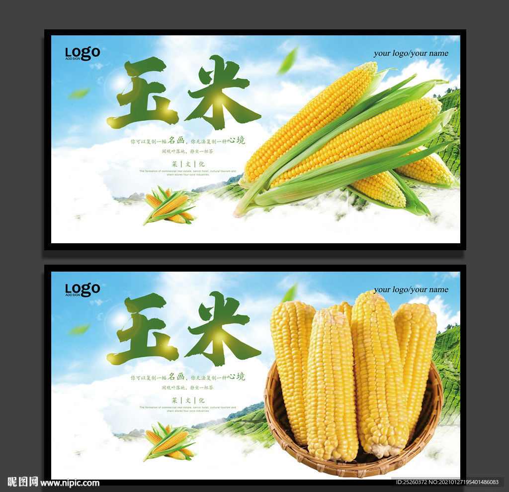 玉米