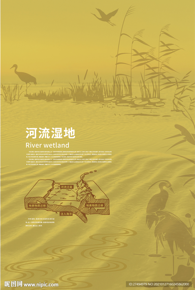 湿地展板