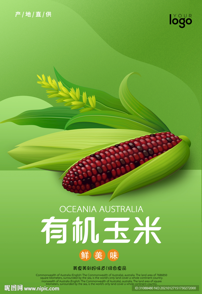 有机玉米海报