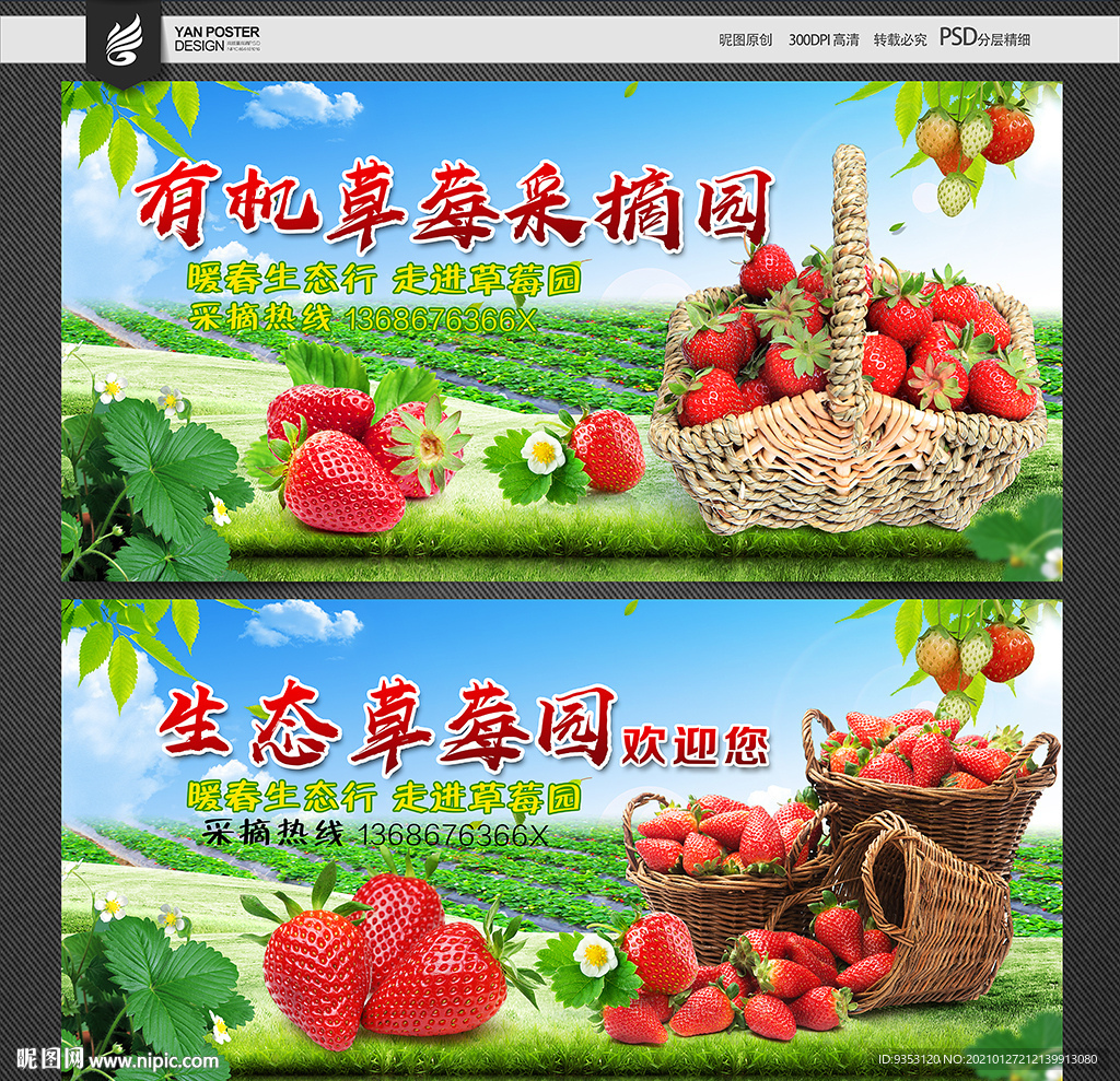 草莓盛宴！我区举办第八届“北京草莓之星”评选暨第三届昌平草莓节启动仪式活动