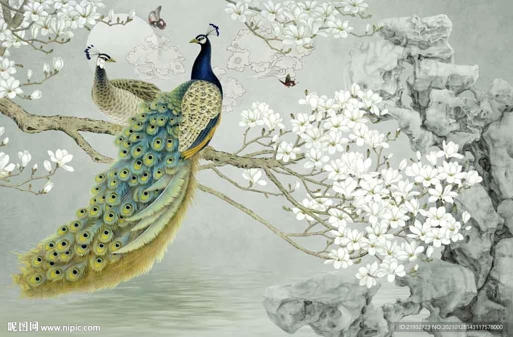 花开富贵孔雀