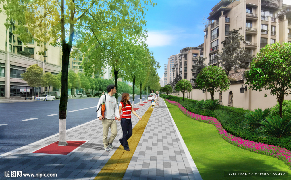 市政道路 城市改造 道路绿化