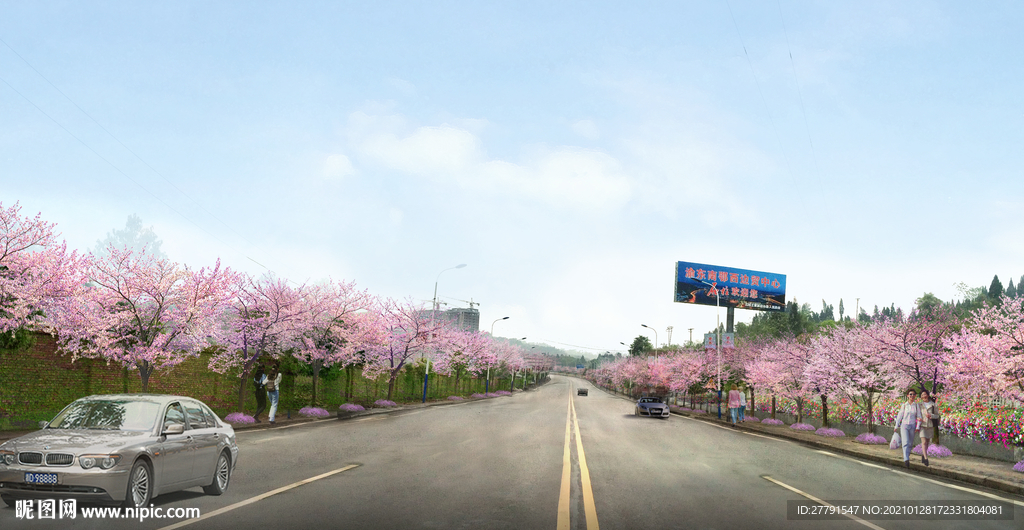 樱花道路景观设计效果图