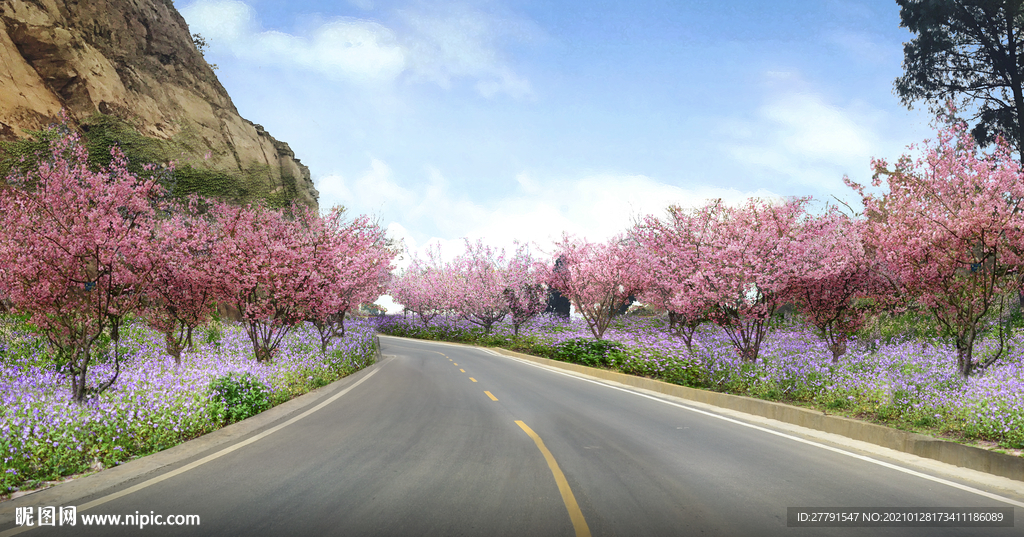 桃花道路景观设计效果图